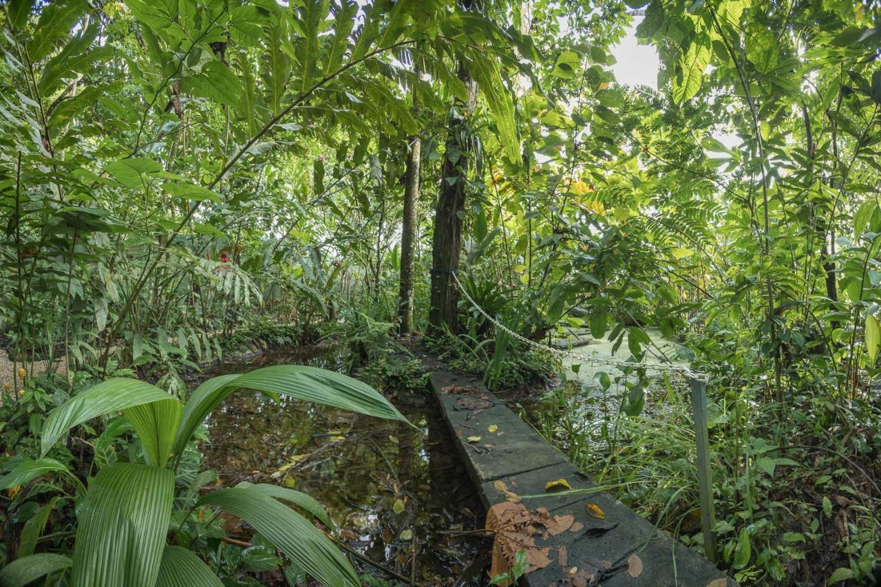 Cabanas Del Rio La Fortuna Dış mekan fotoğraf