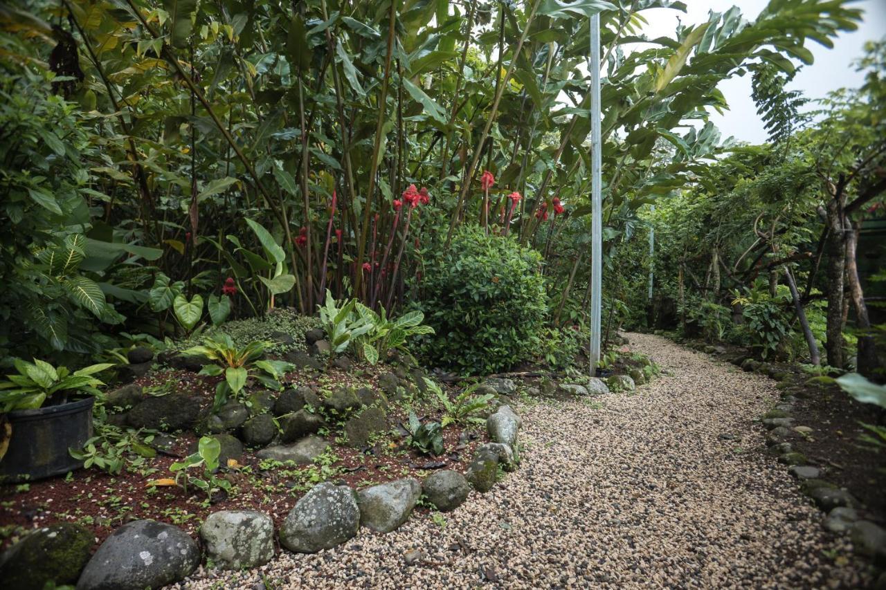 Cabanas Del Rio La Fortuna Dış mekan fotoğraf