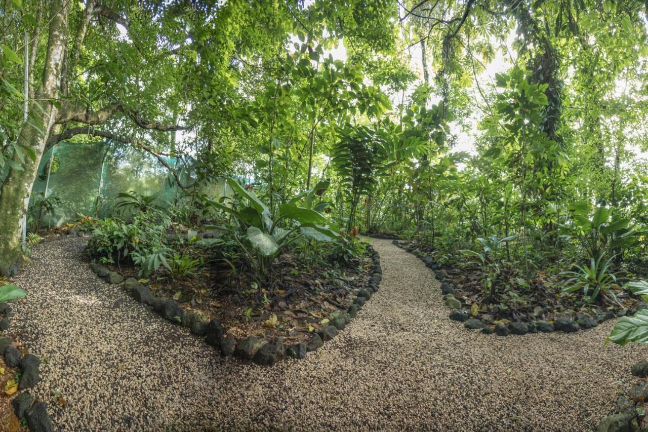 Cabanas Del Rio La Fortuna Dış mekan fotoğraf
