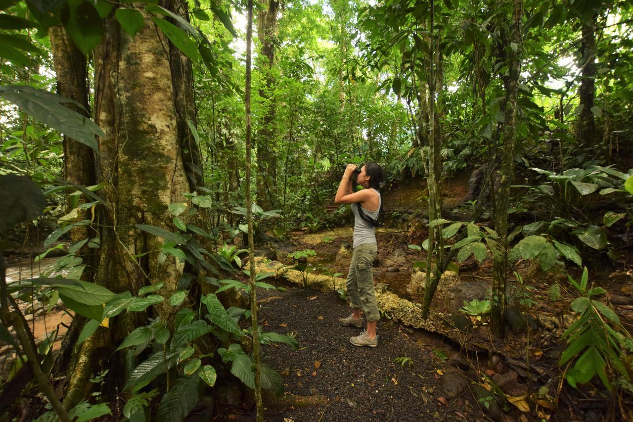 Cabanas Del Rio La Fortuna Dış mekan fotoğraf